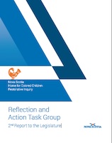 Reflection and Action Task Group Report